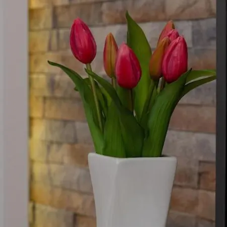 Tihana Apartmán Kaštela